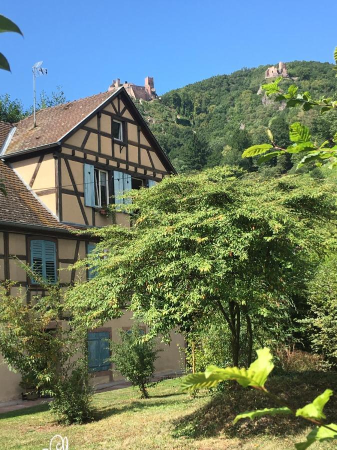 Le Gite Du Moulin Рибовілле Екстер'єр фото